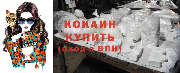соль ск Горнозаводск